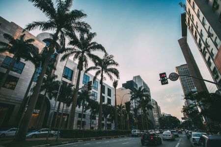 diversidade e beleza do Brasil